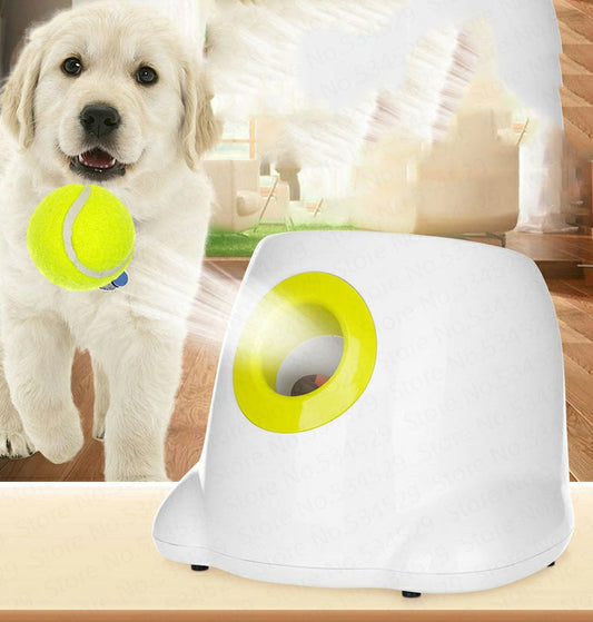 Lanzador automático de bolas interactivas para perros y mascotas